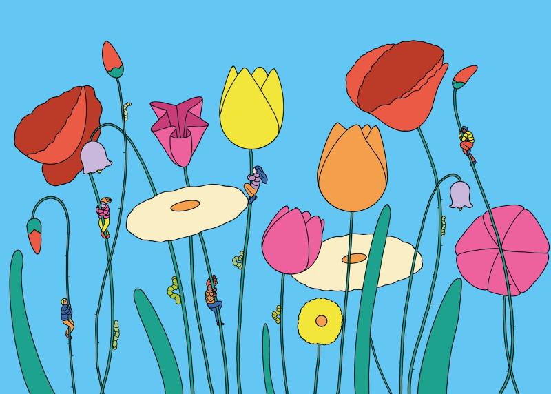 The naturally refreshing visual language of Sour Soda Studio