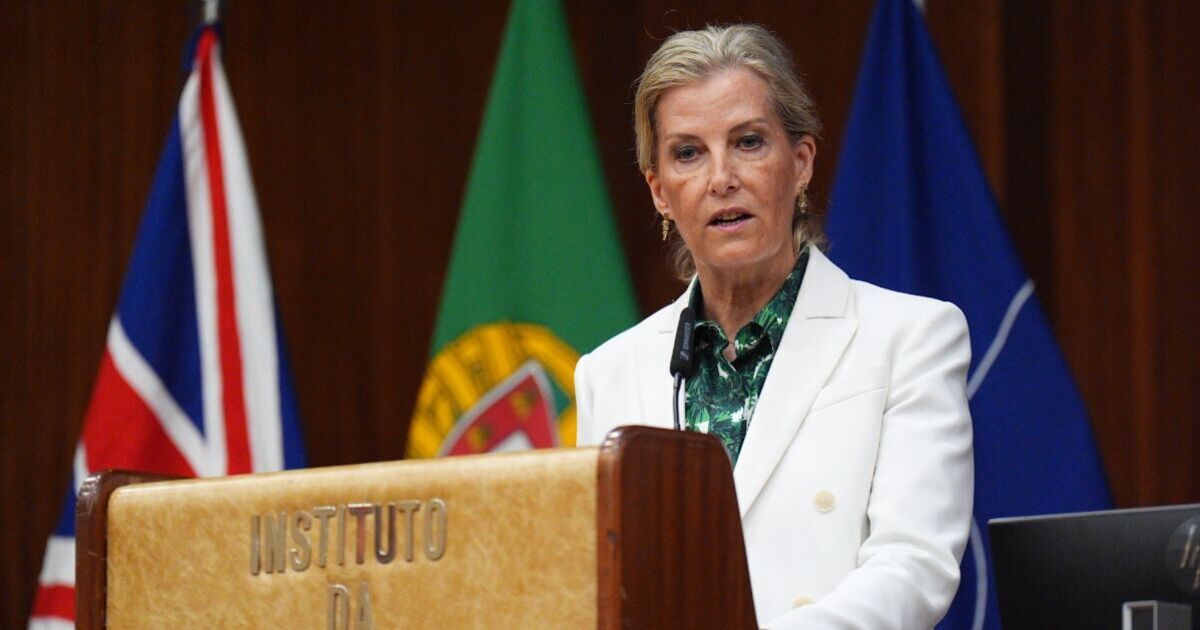 Duchess Sophie issues dire warning in landmark speech - 'I see no end' | Royal | News