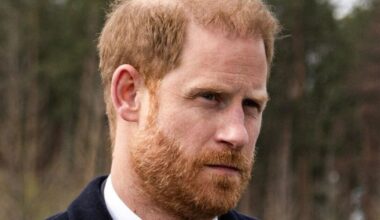 TV star says 'biased' Harry 'ignored William's warning' ahead of Meghan marriage | TV & Radio | Showbiz & TV