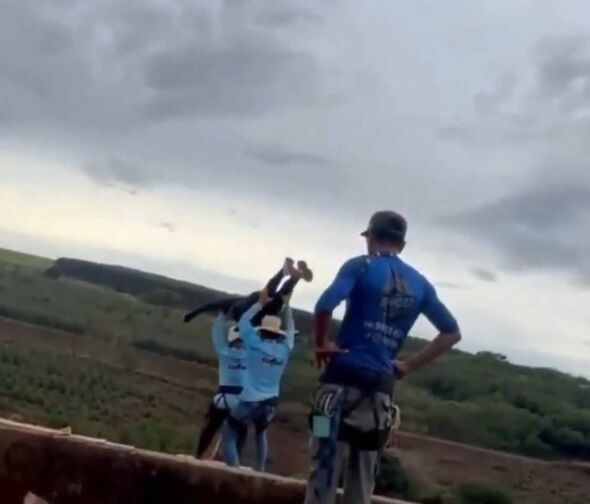 The workers forgot to attach the rope before pushing Maria off