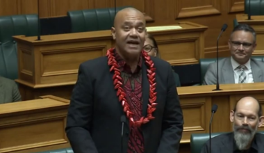 Coroner finds Green MP Efeso Collins died from ‘silent’ heart disease