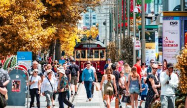 Christchurch businesses show resilience amid national gloom - 2degrees Shaping Business Study