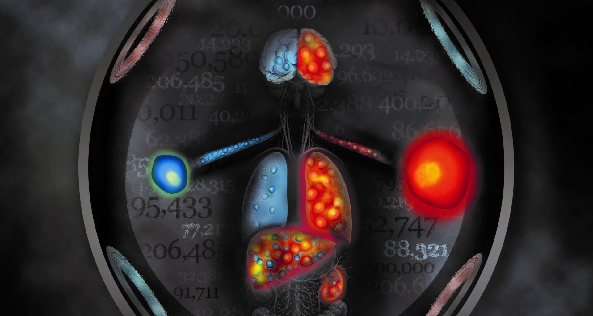 Lab Research Suggests Magnetic Particle Imaging May Help Researchers Find More Effective Ways to Deliver Cell Therapies