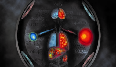 Lab Research Suggests Magnetic Particle Imaging May Help Researchers Find More Effective Ways to Deliver Cell Therapies