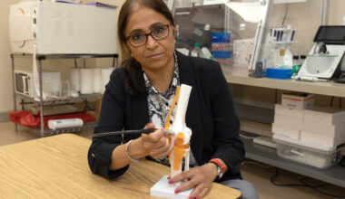 UAH researchers discover ultrasound-based approach that may help reduce harmful inflammation and support joint healing