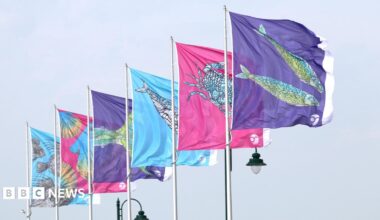 A row of colourful flags on tall poles, each decorated with stylised sea creatures, fly in the air against a pale sky.