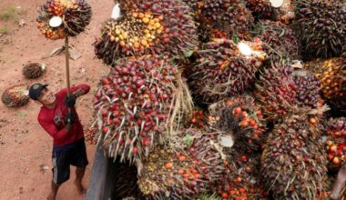Indonesia issues regulation for central control of strategic commodity exports