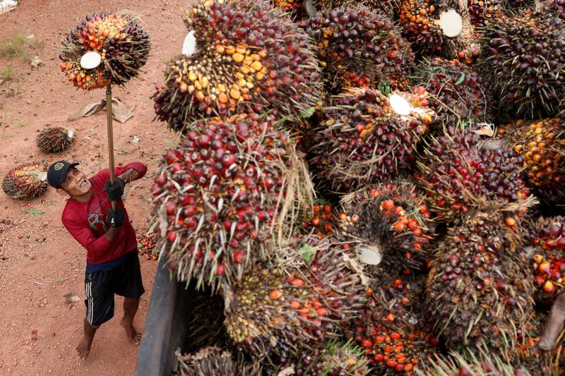 Indonesia issues regulation for central control of strategic commodity exports