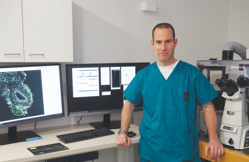 Prof. Asaf Wilensky