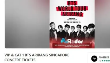 BTS Singapore concert tickets offered for resale at up to 23 times the original price – Asia News Network