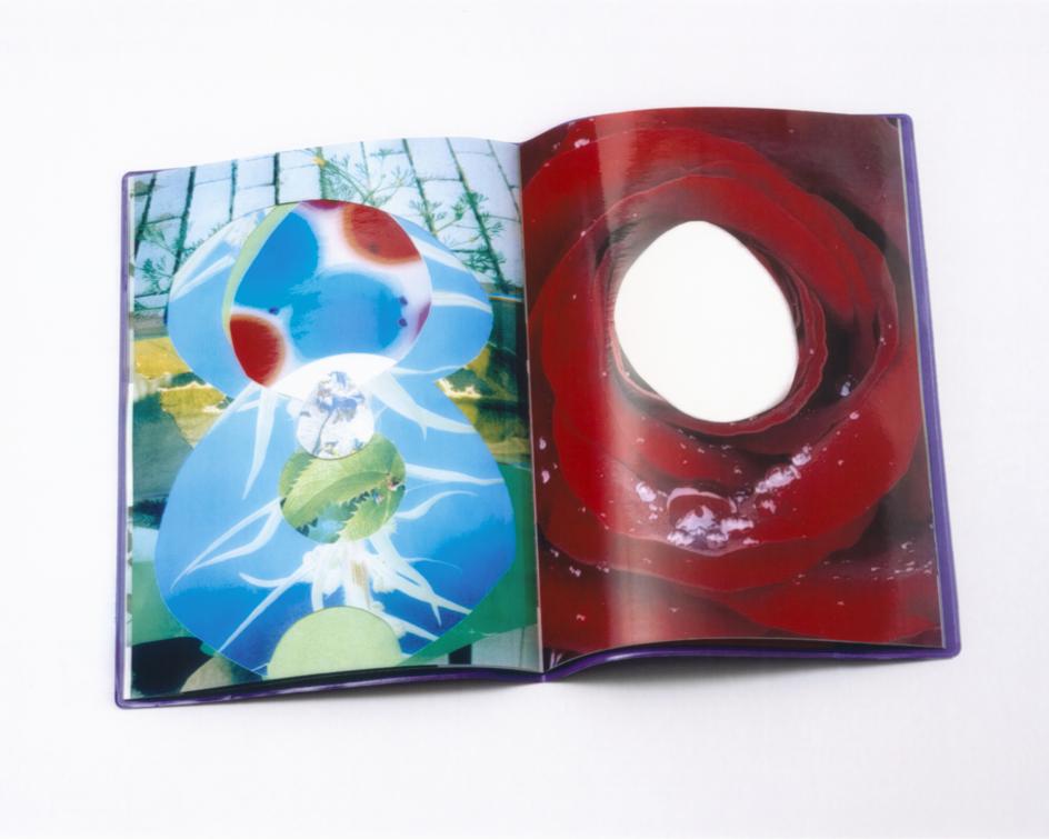 Terra Incognita, 2026. Design Studio Salina
