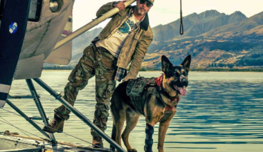 Brad Pitt thriller ‘Heart of the Beast’ showcases South Island wilderness