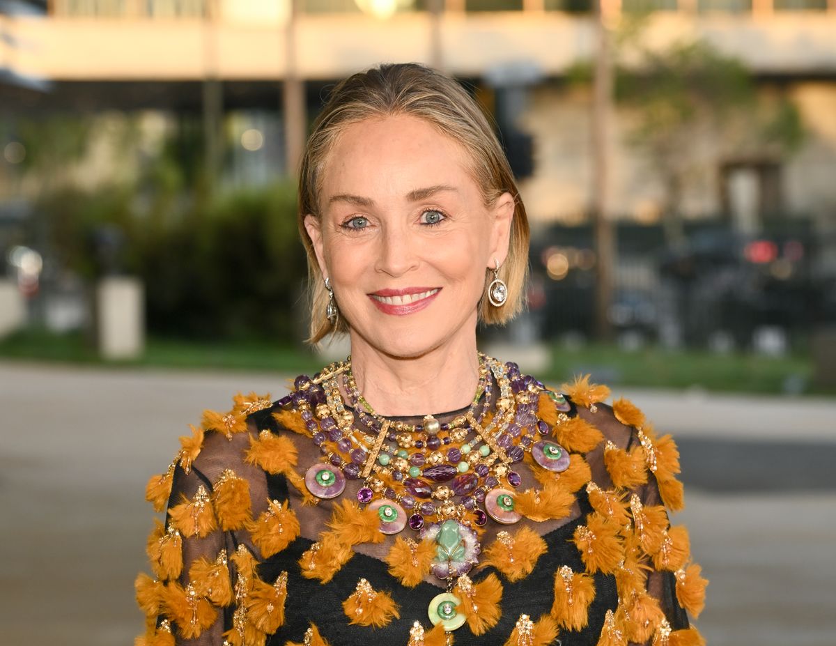 Sharon Stone at LACMA's Opening Gala for the David Geffen Galleries held at LACMA on April 16, 2026 in Los Angeles, California. (Photo by Michael Buckner/Variety via Getty Images) 