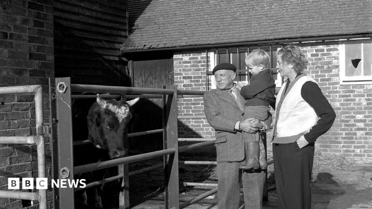 A man, Pablo Picasso, holding a child while stood next to a woman, Lee Miller. They are looking at a cow in a pen.