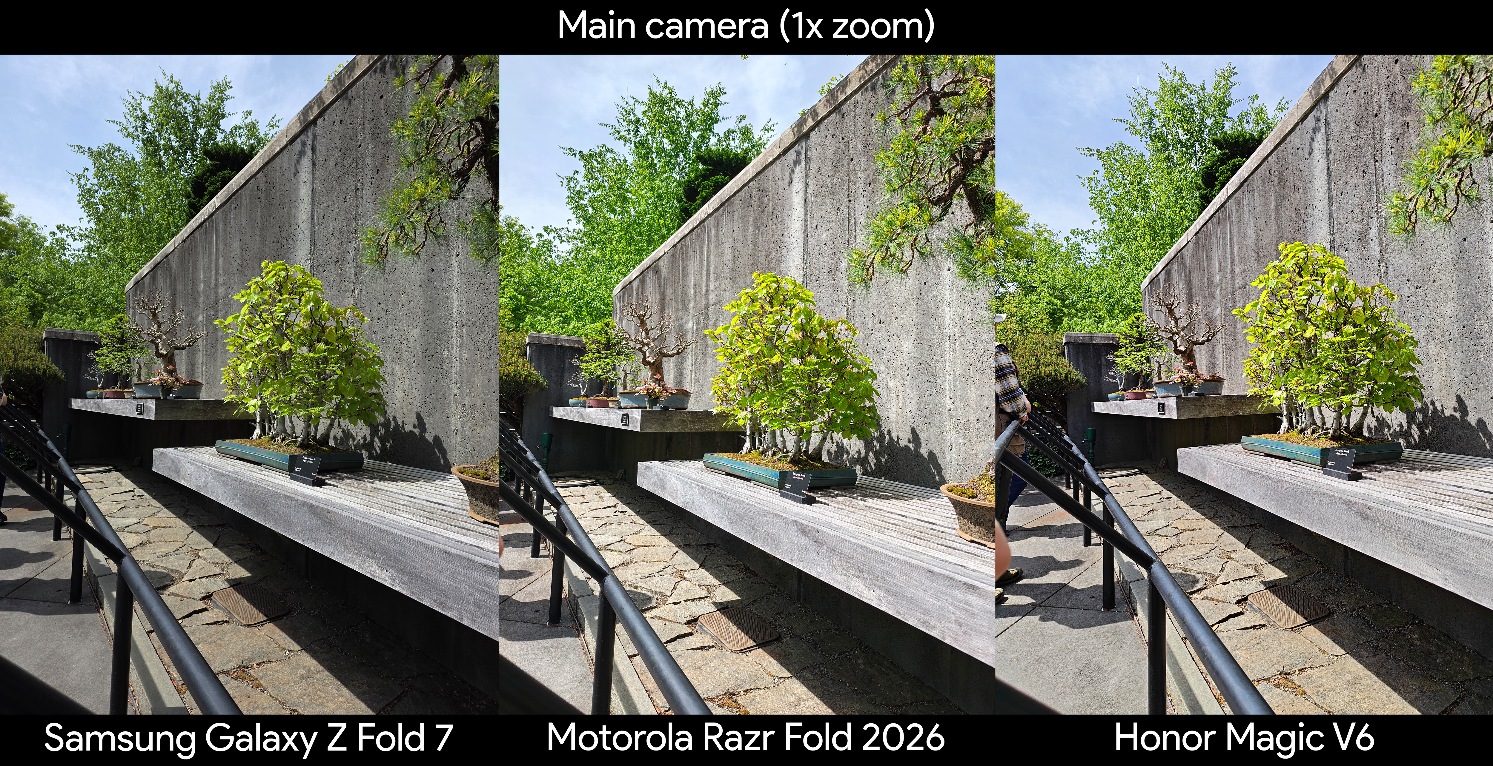 Comparing camera quality between the Motorola Razr Fold 2026 Honor Magic V6, and Samsung Galaxy Z Fold 7