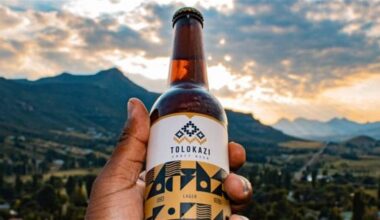 Craft beer startup Tolokazi Beer joins female founder funding programme
