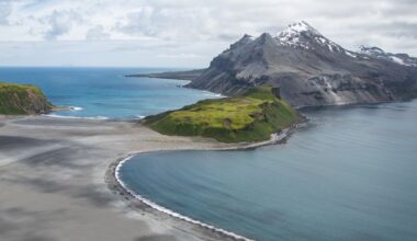Thousands of baby seals died on two remote sub-Antarctic islands. Scientists now think they know why
