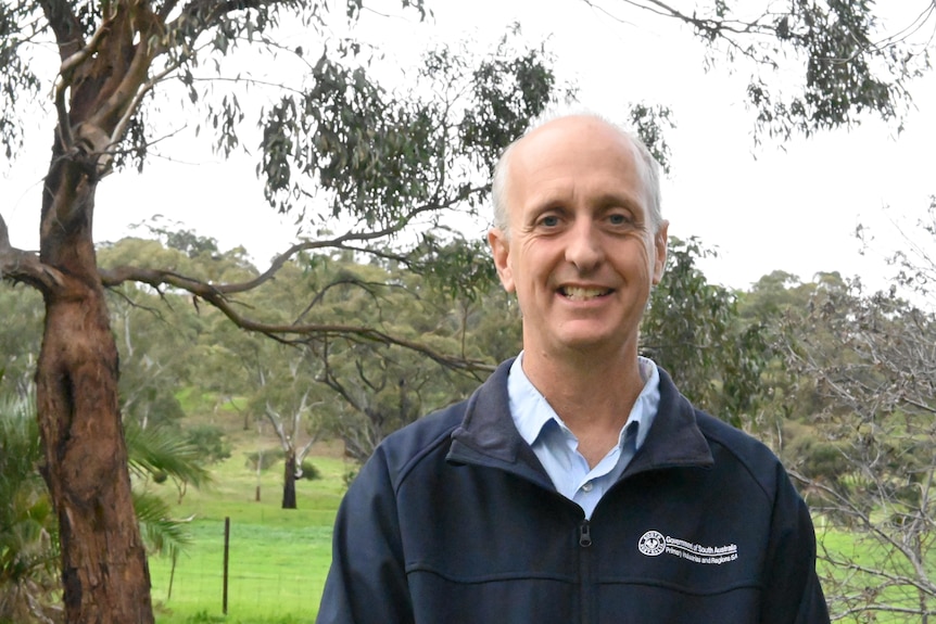 A man standing next to a gum tree