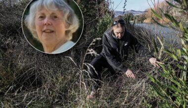 ‘Great result': Missing elderly Canterbury woman found alive after days-long search - Stuff