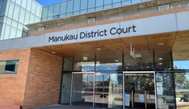 Mother, son sentenced for attempting to illegally export pounamu - Stuff