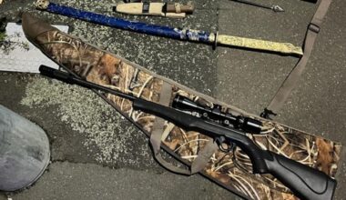 Stolen rifle, loaded crossbow seized from bushes after driver crashes into building - Stuff