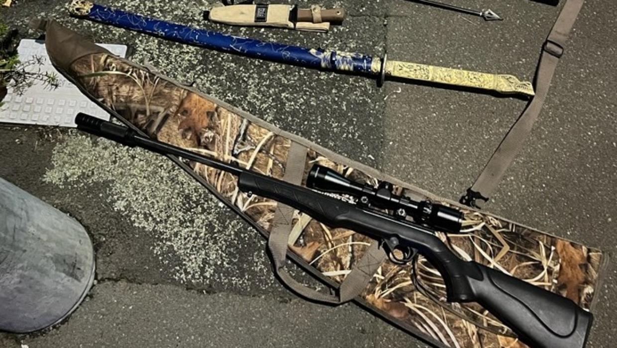Stolen rifle, loaded crossbow seized from bushes after driver crashes into building - Stuff
