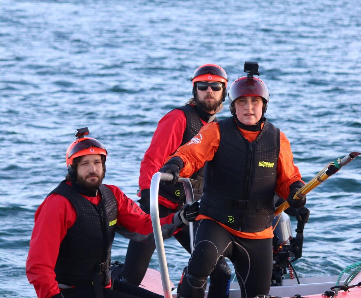 Watch: Moment rare southern right whale is freed from fishing gear - Stuff