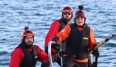 Watch: Moment rare southern right whale is freed from fishing gear - Stuff
