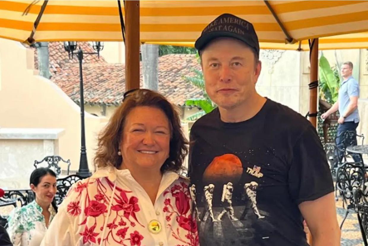 Gina Rinehart bets $1.4 billion on Musk with record SpaceX stake - Stuff