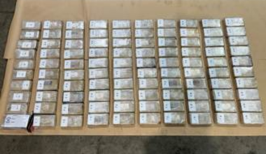 Cocaine worth up to $35m found hidden in shipping container at Port of Tauranga - Stuff