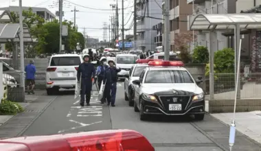 Japanese city captures bear that caused fear and school closures - Stuff