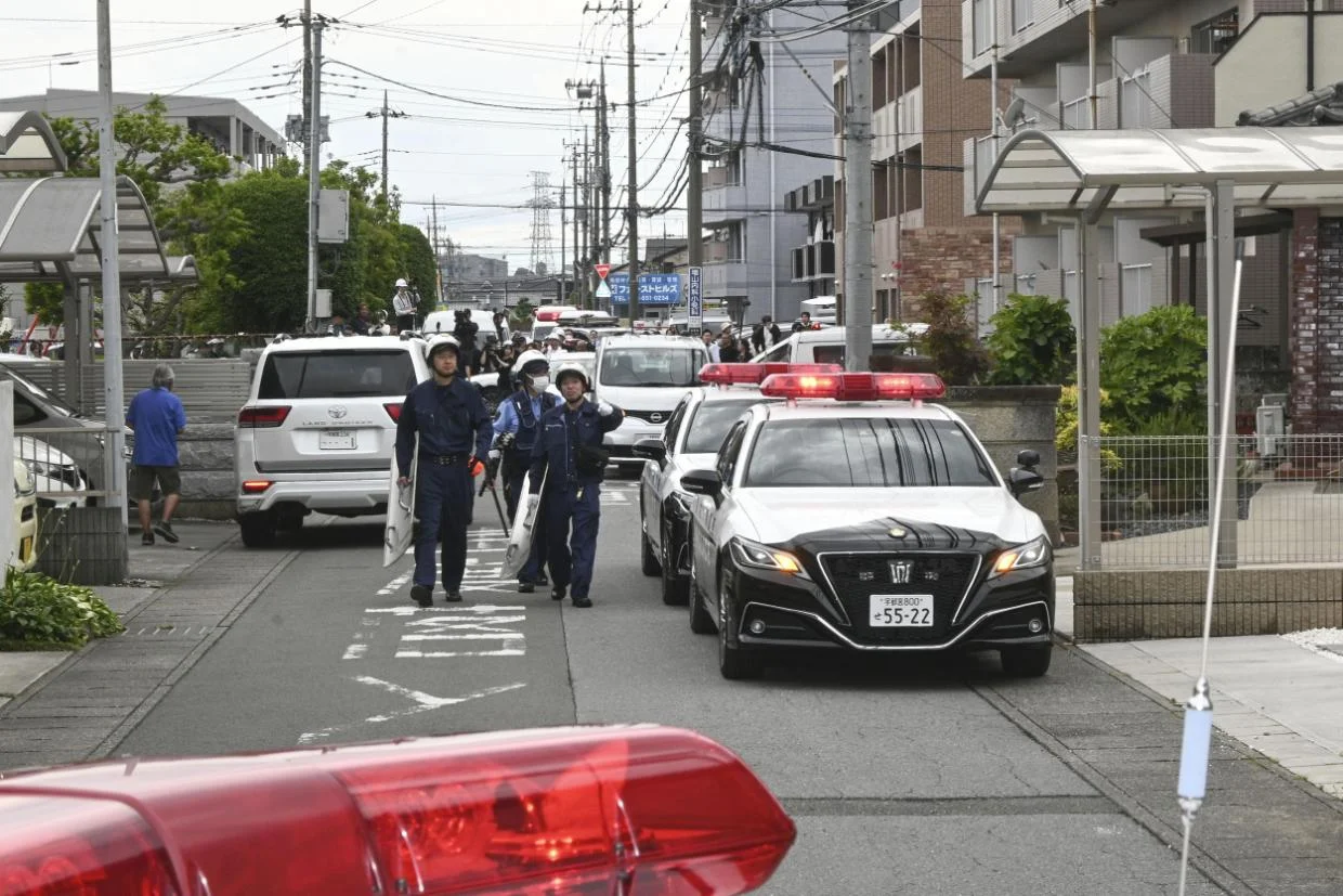 Japanese city captures bear that caused fear and school closures - Stuff