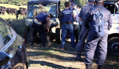 Eleven men charged after year-long police operation targets alleged meth network in the Far North - Stuff