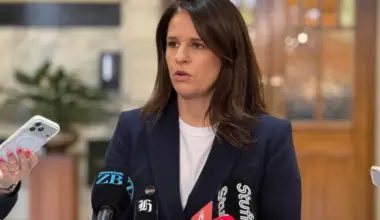 Social media ban law a couple of weeks away, but ACT and NZ First not quite on board yet - Stuff