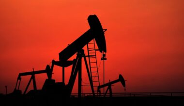 Oil exploration in Egypt's largest arid region generates very promising results