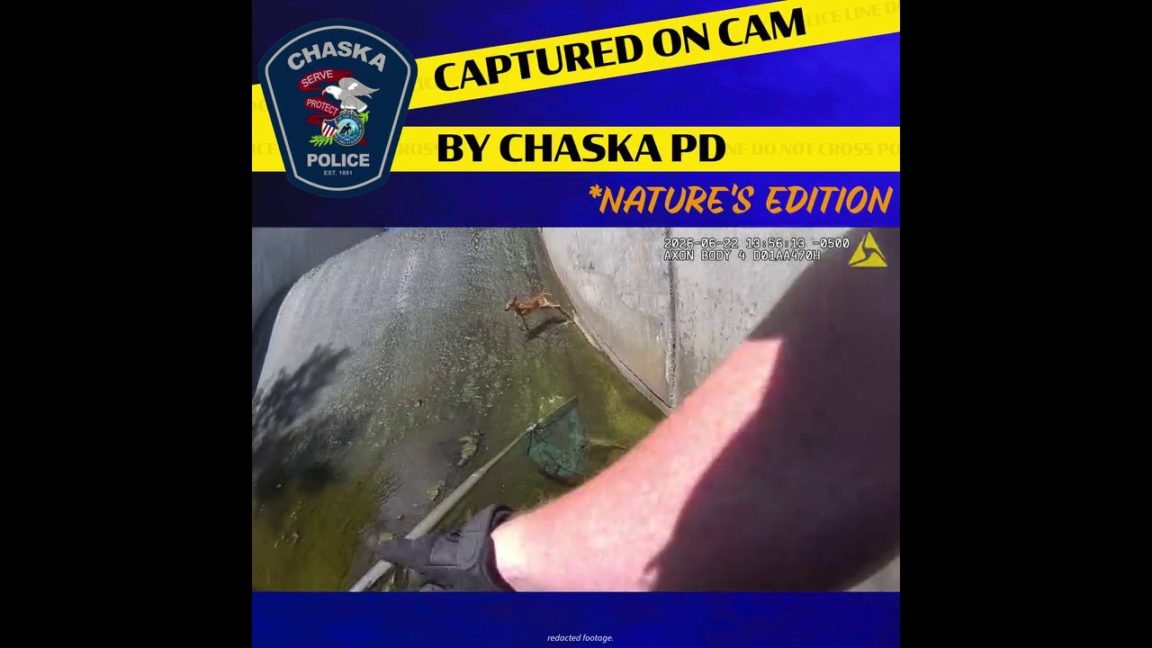 Caught on camera: Baby deer stuck in levee rescued by Chaska PD, DNR officers