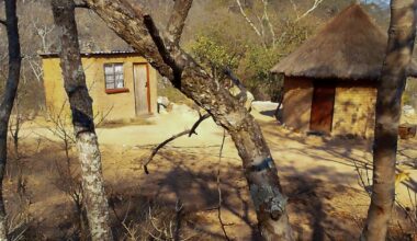 Zimbabwe’s climate migrants fear eviction as crackdown intensifies | News