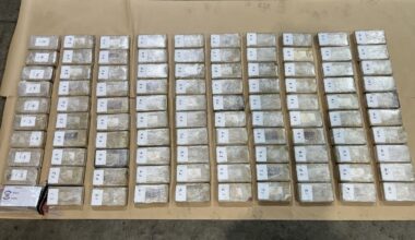 Cocaine worth $35m found in Prada-branded bricks at Tauranga port