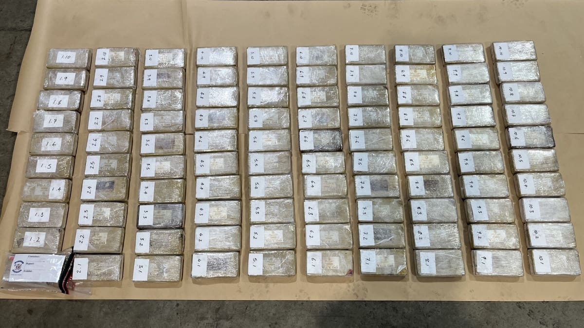 Cocaine worth $35m found in Prada-branded bricks at Tauranga port