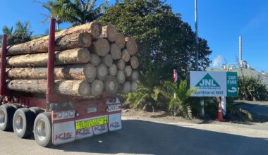 Juken New Zealand to close Northland Mill after buyer search fails