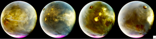 Four false-color views of Mars show ultraviolet atmospheric data from MAVEN, with bright magenta auroral emissions glowing along the lower edge of the planet.