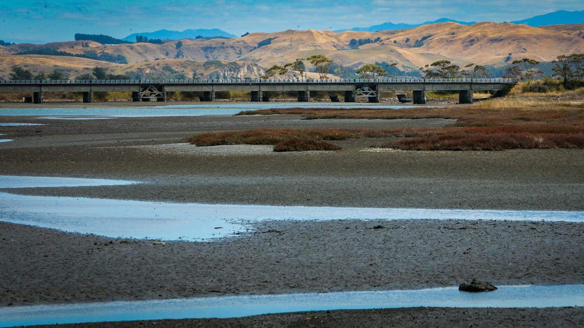Conservation law change puts Hawke’s Bay treasures at risk of losing safeguards, conservationists say