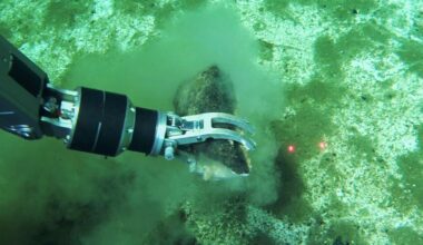 World’s largest whale graveyard discovered by Chinese sub
