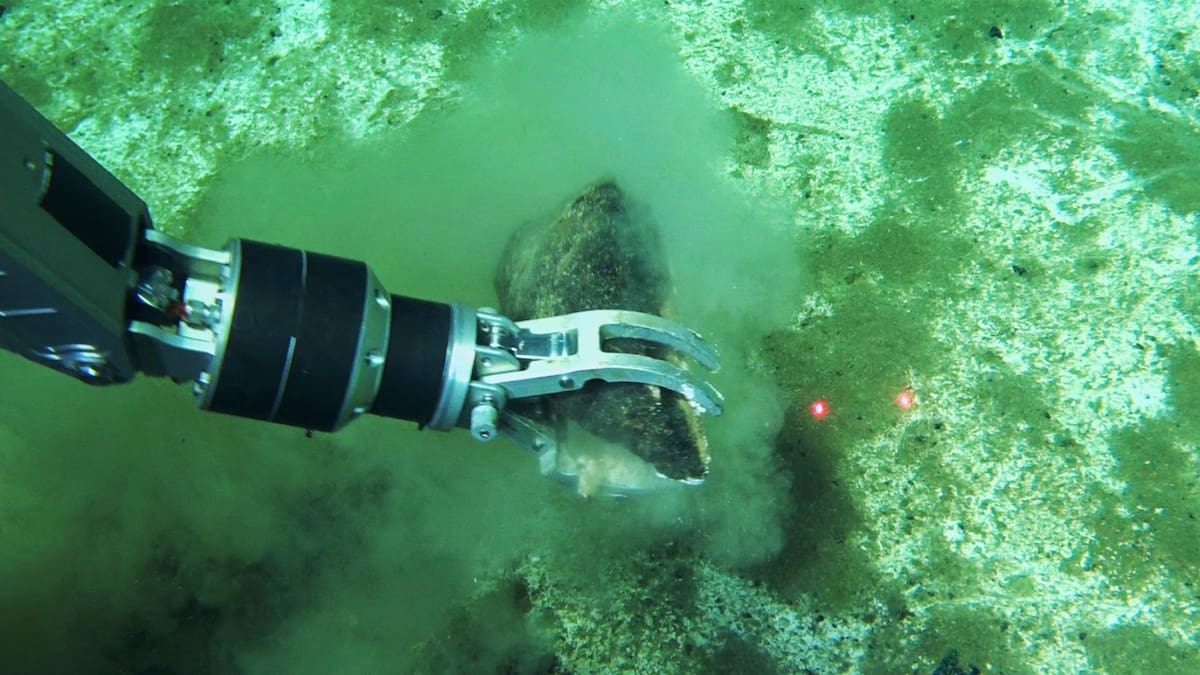 World’s largest whale graveyard discovered by Chinese sub