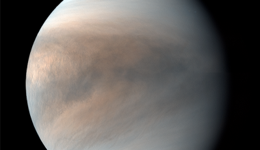 Acidophilic Fungi As Possible Candidates For Living Forms In Venus’ Clouds