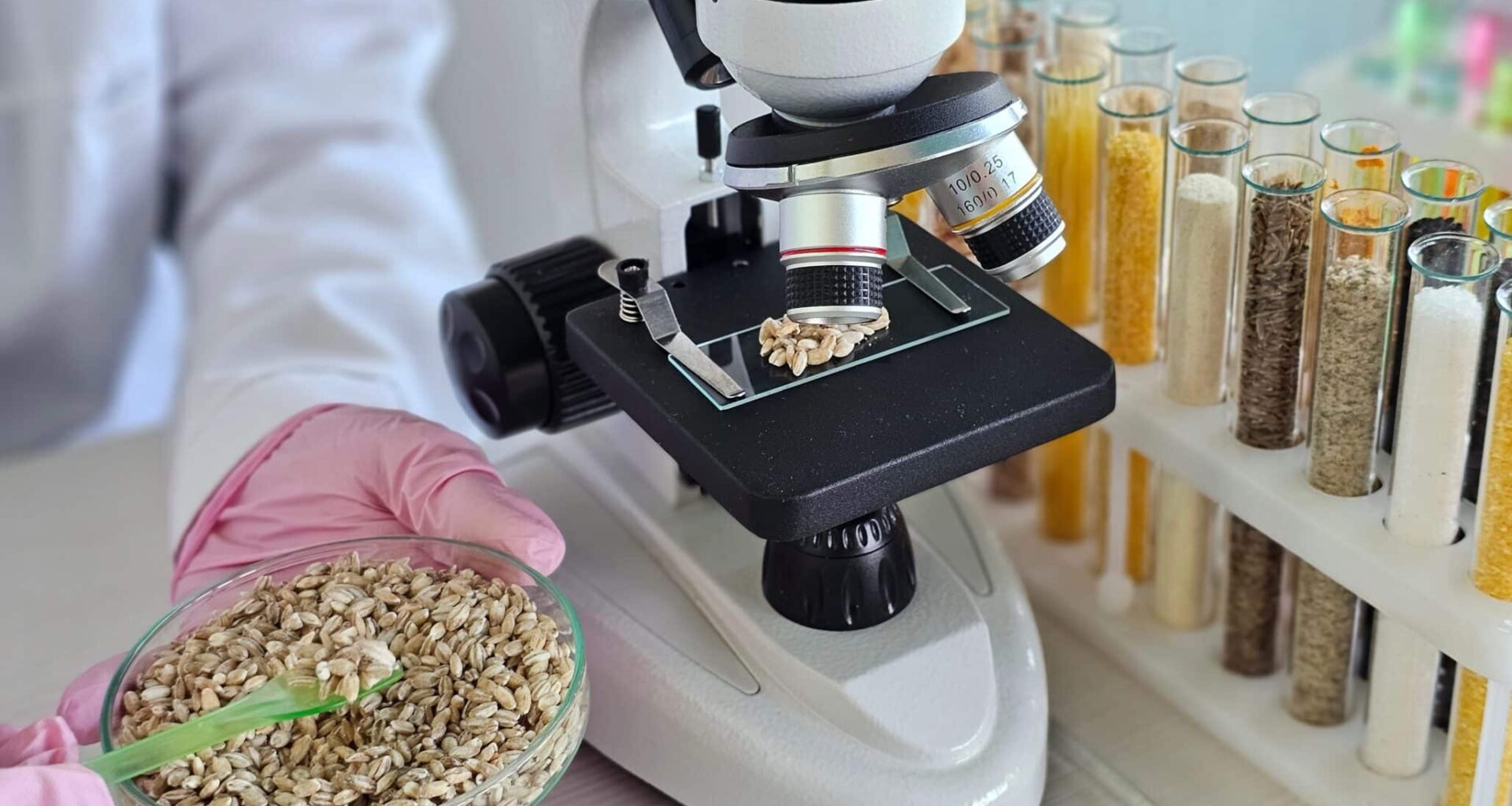 Microscope used to examine seeds with test tubes in laboratory setting