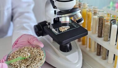 Microscope used to examine seeds with test tubes in laboratory setting