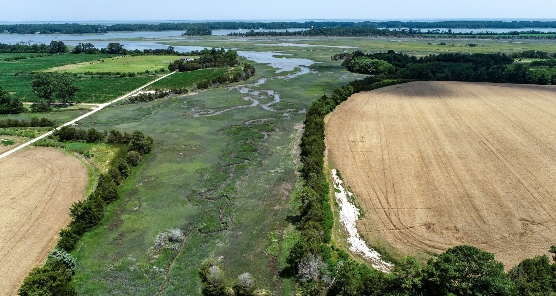 Aerial View of a Tidal Marsh