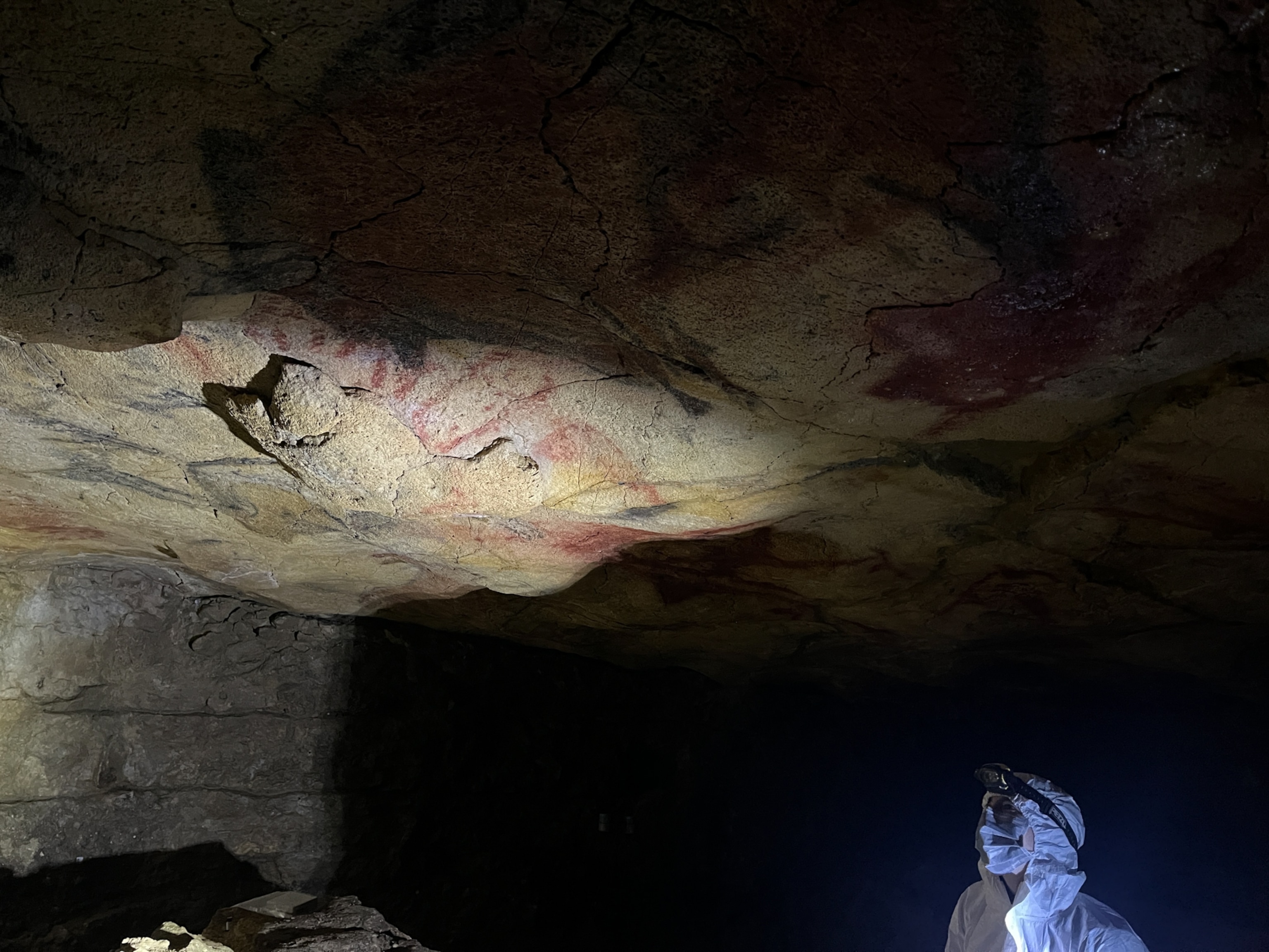 Person in white protective gear shines a light on ancient red and black cave paintings on a rough ceiling