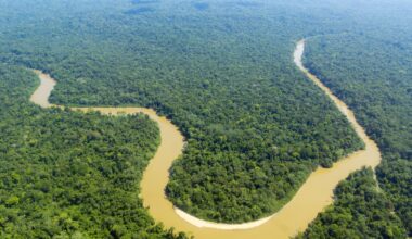 Amazon climate extremes predicted for the future are already here
